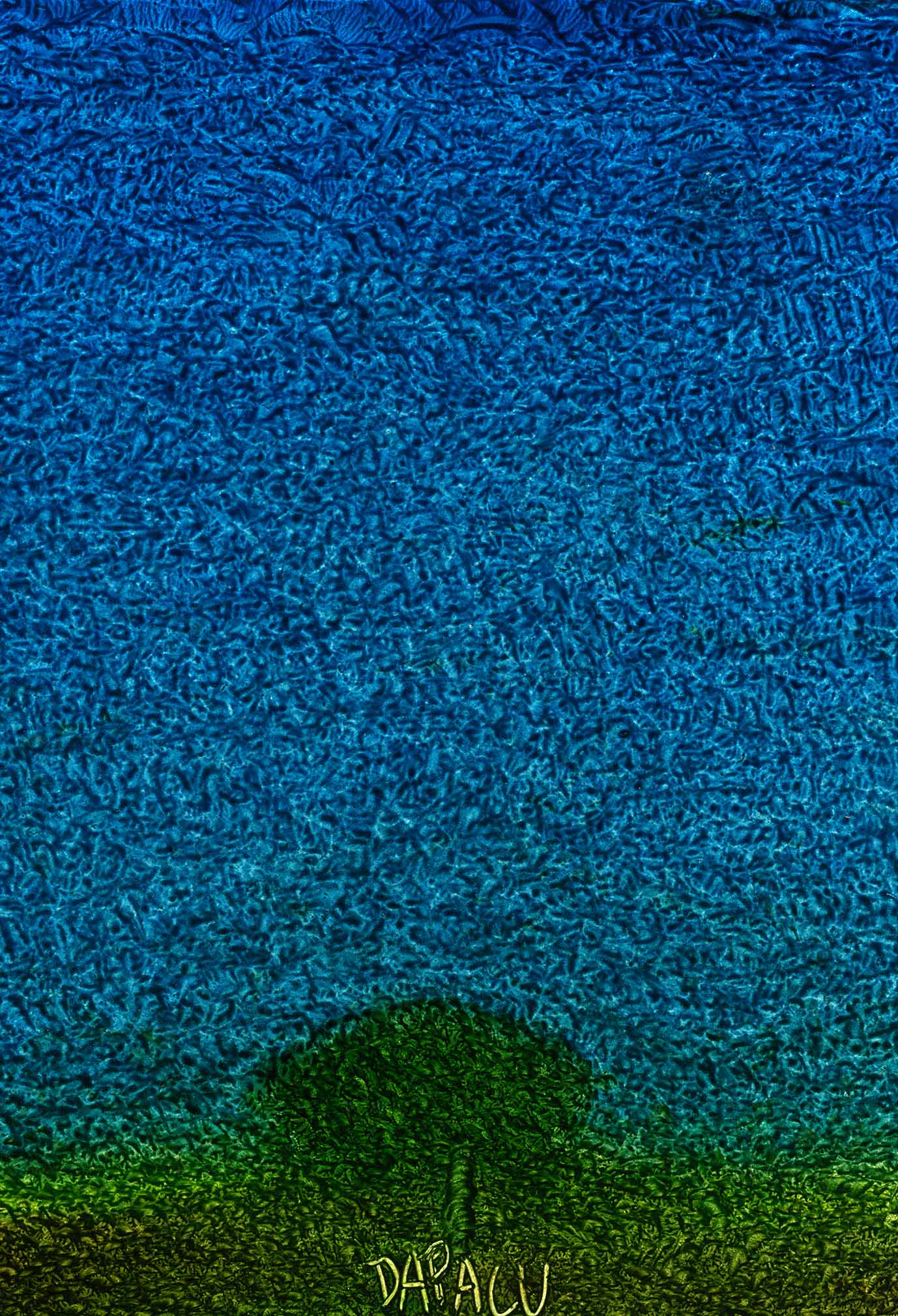 Paintings Exhibitions